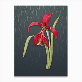 Vintage Amaryllis Botanical on Slate Gray Pattern n.1179 Canvas Print