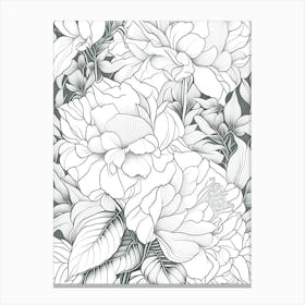 Gardenia Peonies White 2 Drawing Canvas Print