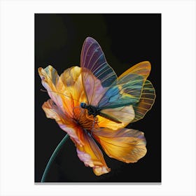 Butterfly On A Flower 1 Canvas Print