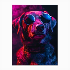 Beautiful Dog Under Neon Lights 17 Canvas Print