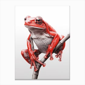 Red Tree Frog Realistic 2 Canvas Print