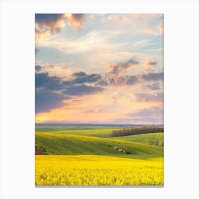 Sunset In A Canola Field Canvas Print