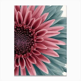 Gerbera Daisy 1 Canvas Print