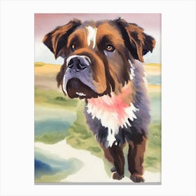 Newfoundland Watercolour dog Canvas Print