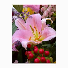 Pink Lily Canvas Print