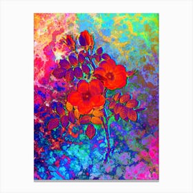 Austrian Briar Rose Botanical in Acid Neon Pink Green and Blue Canvas Print