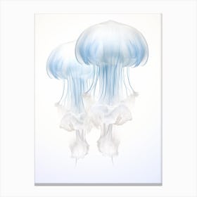 Lions Mane Jellyfish Watercolour 6 Canvas Print