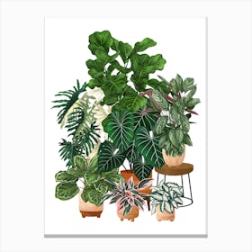Plant Collection 2 Canvas Print