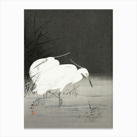 Two Egrets In The Reeds (1900 1930), Ohara Koson Canvas Print