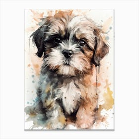 Shih Tzu Puppy Canvas Print