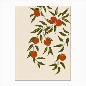 Fruit Branch No 572 Canvas Print