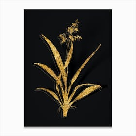 Vintage Flax Lilies Botanical in Gold on Black n.0073 Canvas Print