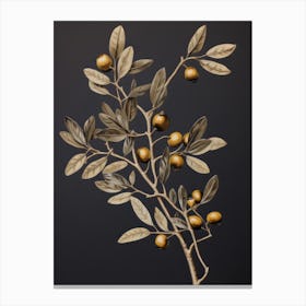 Dark Vintage Botanical Canvas Print