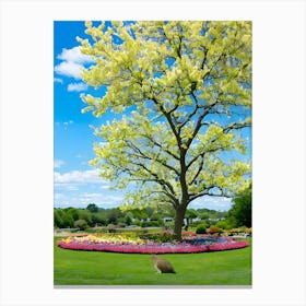 Tree In Bloom Canvas Print