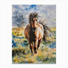 Horse Running In The Meadow 1 Canvas Print