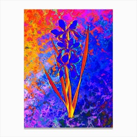 Yellow Banded Iris Botanical in Acid Neon Pink Green and Blue n.0174 Canvas Print