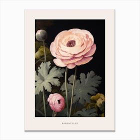 Flower Illustration Ranunculus 1 Poster Canvas Print