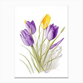 Crocus Floral Quentin Blake Inspired Illustration 2 Flower Canvas Print