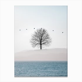 Sky Tree Canvas Print