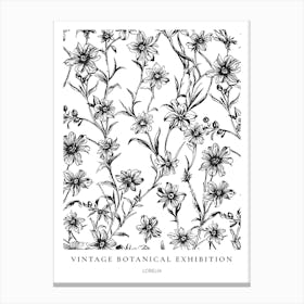 Lobelia B&W Vintage Botanical Poster Canvas Print