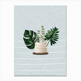 Succulent Plant 4 Canvas Print