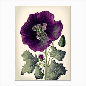 Purple Poppy Mallow Wildflower Vintage Botanical 2 Canvas Print