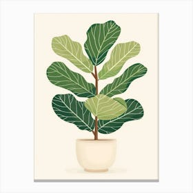 Fig Tree In A Pot 1 Canvas Print