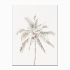 Single Palm Tree Canvas Print