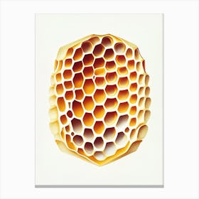 Close Up Of Honeycomb 1 Vintage Canvas Print