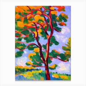 Lodgepole Pine tree Abstract Block Colour Canvas Print