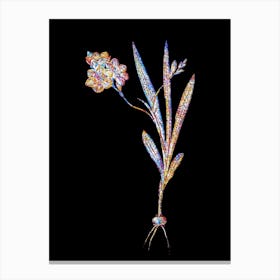 Stained Glass Ixia Miniata Mosaic Botanical Illustration on Black n.0109 Canvas Print