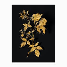 Vintage Velvet China Rose Botanical in Gold on Black n.0447 Canvas Print
