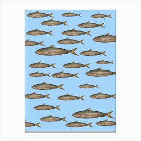 Swimming Sardines Illustration Lienzo