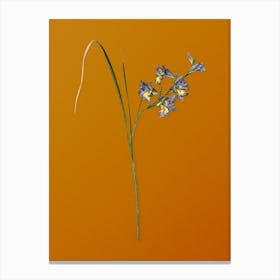 Vintage Gladiolus Ringens Botanical on Sunset Orange n.0811 Canvas Print