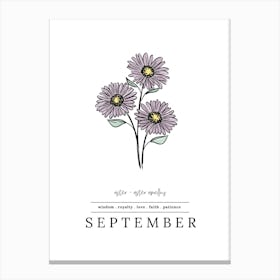 September Aster Birth Flower 1 Canvas Print