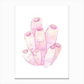 Pink Carrots Canvas Print