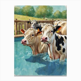 Cows In The Pool Canvas Print