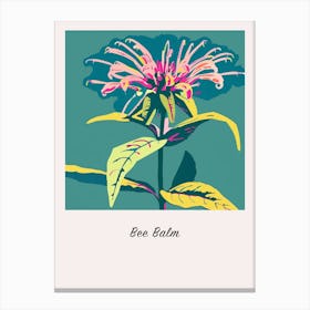 Bee Balm 2 Square Flower Illustration Poster Canvas Print