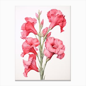 Gladiolus Flower Vintage Botanical 1 Canvas Print