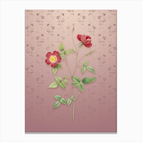 Vintage Indica Stelligera Rose Botanical on Dusty Pink Pattern n.0375 Canvas Print