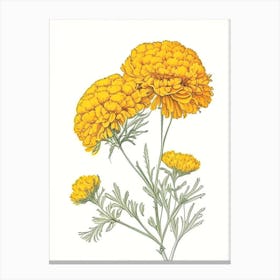 Marigold Floral Quentin Blake Inspired Illustration 3 Flower Canvas Print