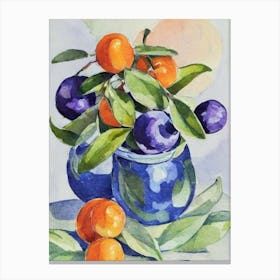 Kumquat 1 Vintage Sketch Fruit Canvas Print