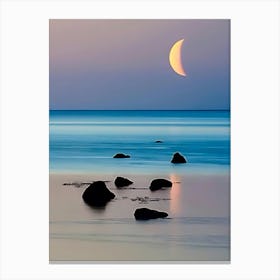 Moonrise Over The Ocean Canvas Print