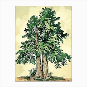 Yew Tree Storybook Illustration 1 Canvas Print