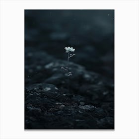 Flower In The Dark 69 Canvas Print