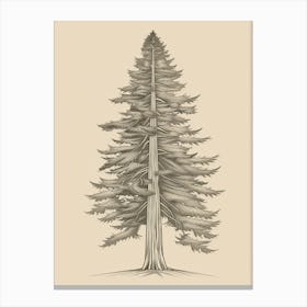 Redwood Tree Minimalistic Drawing 1 Canvas Print
