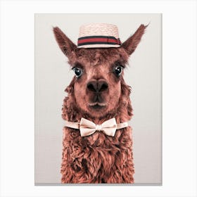 Llama with Hat Canvas Print