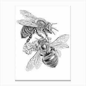 Leafcutter Bee Storybook Illustration 22 Canvas Print