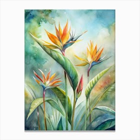 4 Birds Of Paradise Flowers Standing Tall Canvas Print