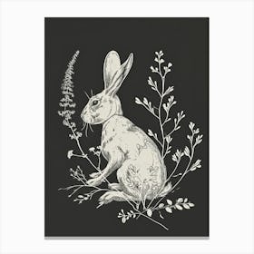 Blanc De Hotot Rabbit Minimalist Illustration 1 Canvas Print